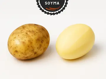 Soyma 1