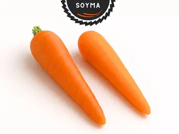 Soyma 2