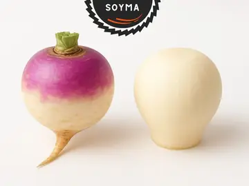 Soyma 3